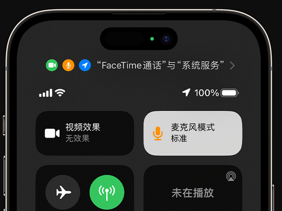 荣县苹果授权维修网点分享iPhone在通话时让你的声音更清晰 