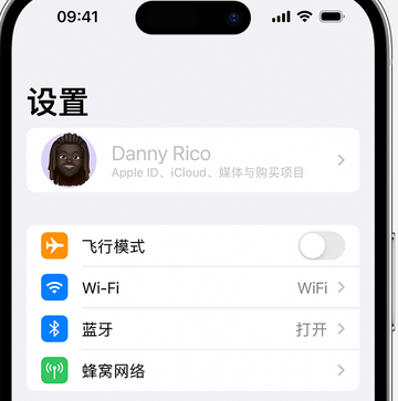 荣县appleID维修服务iPhone设置中Apple ID显示为灰色无法使用 