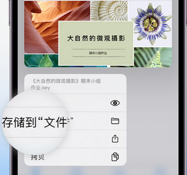 荣县apple维修中心分享iPhone文件应用中存储和找到下载文件