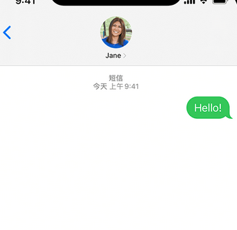 荣县apple维修iPhone上无法正常发送iMessage信息