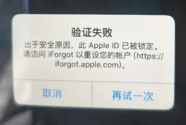 荣县iPhone维修分享iPhone上正常登录或使用AppleID怎么办 