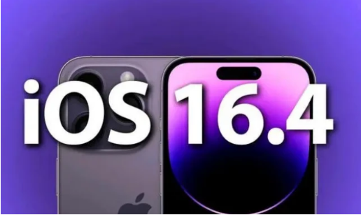 荣县苹果14维修分享：iPhone14可以升级iOS16.4beta2吗？ 