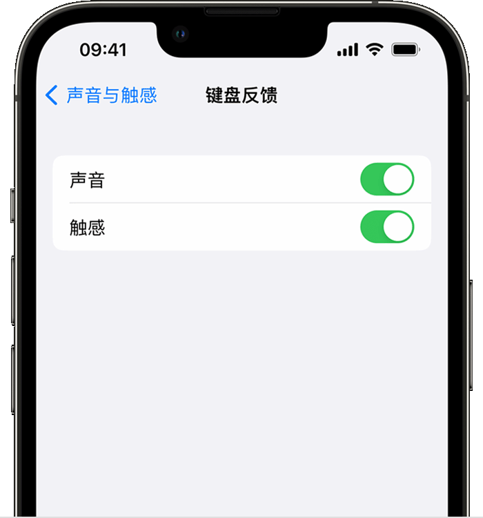 荣县苹果14维修店分享如何在 iPhone 14 机型中使用触感键盘 