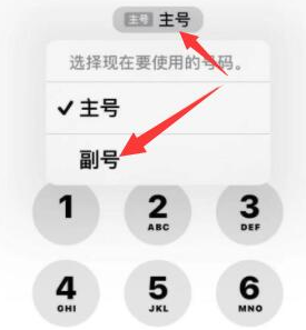 荣县苹果14维修店分享iPhone 14 Pro Max使用副卡打电话的方法 