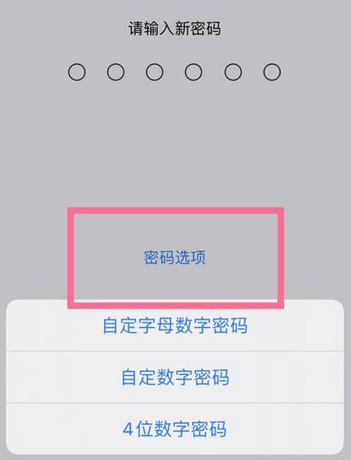 荣县苹果14维修分享iPhone 14plus设置密码的方法 