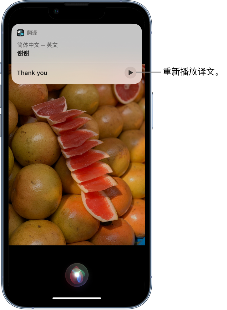 荣县苹果14维修分享 iPhone 14 机型中使用 Siri：了解 Siri 能帮你做什么 