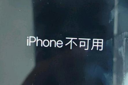 荣县苹果服务网点分享锁屏界面显示“iPhone 不可用”如何解决 