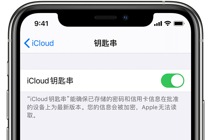 荣县苹果手机维修分享在 iPhone 上开启 iCloud 钥匙串之后会储存哪些信息 