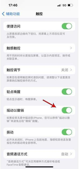 荣县苹果手机维修分享iPhone手机如何设置摇一摇删除文字 