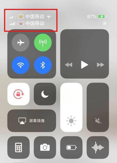荣县苹果手机维修分享为 iPhone 12 双卡设置标签 